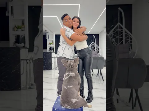 Cuando peleamos nuestra perrita nos obliga 🐶 #shorts