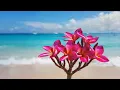 Bossa Nova Covers Of Popular Songs 200 Hits