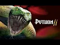 Python 2 2002 Kill Count