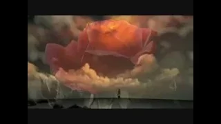مقدرش أحب غيرك ميادة الحناوي  مقدرش أحب غيرك ميادة الحناوي