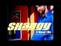 Shaggy "It wasn't me" feat. Ricardo Ducent