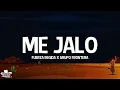 Download Lagu Fuerza Regida x Grupo Frontera - ME JALO (Letra/Lyrics)