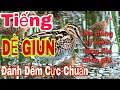 Lagu Tiếng dẻ giun chuẩn nhất hiện nay l bản gốc đánh chim đêm cực chuẩn l Săn bẫy TV