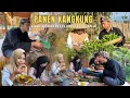 Download Lagu KEHIDUPANKU DIDESA | PANEN KANGKUNG DIKEBUN KITA BIKIN PECEL KANGKUNG BUMBU KACANG