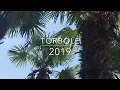 Download Lagu VW T3 SLOWLY op REIS - Wandelen Pad Ledro (4) Torbole