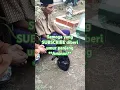 Download Lagu Ayah kukirimkan doa #shorts #shortsviral #ayah #fyp #001