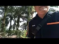 Download Lagu Jalan santai bareng sahabat REVINA di ponpes serambi Mekkah Bahar 5 di temani adik Inggrid yang come