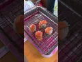 Download Lagu dimsum bakar mentai 4 biji 20 ribu #food #foodie #kuliner #idejualan