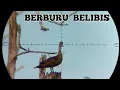 Download Lagu GILA ❗SPOT RAHASIA BELIBIS NYA SUPER MELIMPAH. BORNEO SLUG BIKIN PECAH, BERBURU BELIBIS