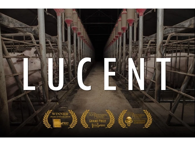 Lucent (2014) - Full documentary