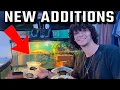 BUYING TURTLES From The REPTILE EXPO