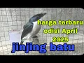Download Lagu harga terbaru burung jinjing batu April 2025