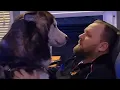 Download Lagu Rescue dog turns reluctant dad into lovebug