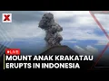 Mount Anak Erupts LIVE Mount Anak Krakatau Erupts In Indonesia With Tall Ash Column NewsX World