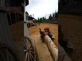 Download Lagu POV: You wake up in 1865 as the local blacksmith ~~~ #wildwest #blacksmith #rdr2 #rdr3 #pov #vr