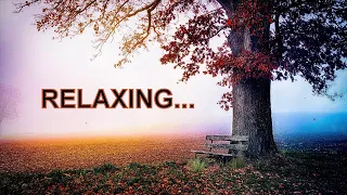 beauty of nature fantasy relaxing free hd videos no copyright
