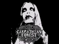 Carpathian Forest - In Silence I Observe