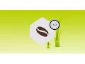 Twig Template Engine for PHP Introduction