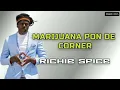 MARIJUANA PON DE CORNER - RICHIE SPICE (LYRICS MUSIC VIDEO)