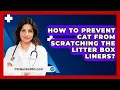 Download Lagu How To Prevent Cat From Scratching The Litter Box Liners? - PetGuide360.com