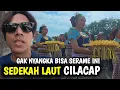 Download Lagu PERTAMA KALI NONTON SEDEKAH LAUT CILACAP || RAMENE ORA PATUT