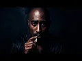 Download Lagu 2Pac - Losing The Fight - [Sad Song] - 2025