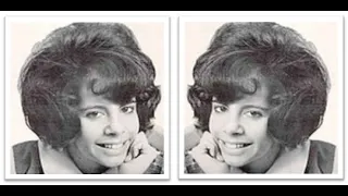 donna lynn my boyfriend got a beatle haircut i had a dream i was a beatle stereo