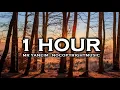Joakim Karud - Dreams (1 HOUR VERSION) ♫ NoCopyrightMusic ♫