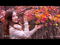 谭咏麟《爱在深秋》MV 中文字幕 1080p