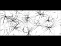 Growing Swarm interactive - Processing