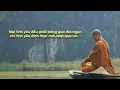 Download Lagu Thầy Minh Niệm | Tình Yêu Đích Thực Là Gì?