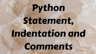 Python Statement Indentation and Comments Creative Notes