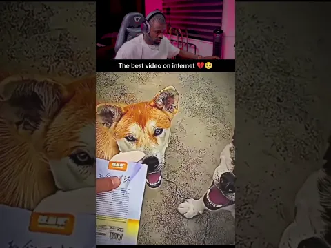 This is the best video you will watch today β€οΈβ€οΈπ₯Ί