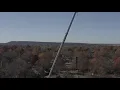 Nick s Tree Service pecan removal