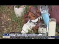 Upper Darby mourning loss of teen fatally stabbed