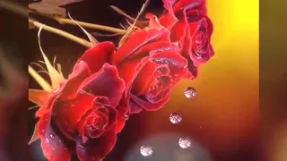 طوني قطان  مزبط حالي معها       دندنها