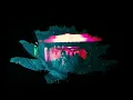 Noel Gallagher's High Flying Birds - Pretty Boy (Robert Smith Remix) (Official Lyric Video)
