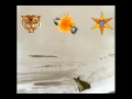 The Beta Band - Dry The Rain