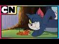 Download Lagu Tom and Jerry 😺🐭| Tom \u0026 Jerry’s Stay-At-Home Madness! 😆 | Cat and the Mouse Cartoon 😍| @cnindia