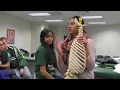 Osteopathic Medical Scholar s Program OMSP