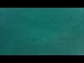 Sharks Spotted at Fort Pierce Inlet Jetty Park Drone Footage Ft Pierce FL