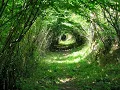 Ecesis The nature of Nature with Justin Thomas