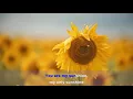 YOU ARE MY SUNSHINE Karaoke