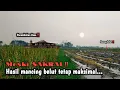 Download Lagu TEMPATNYA MISTIS‼️JARANG ADA PEMANCING YANG BERANI KESINI
