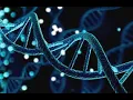 Heredity Human Development Nature Nurture Genes Lifespan Psychology
