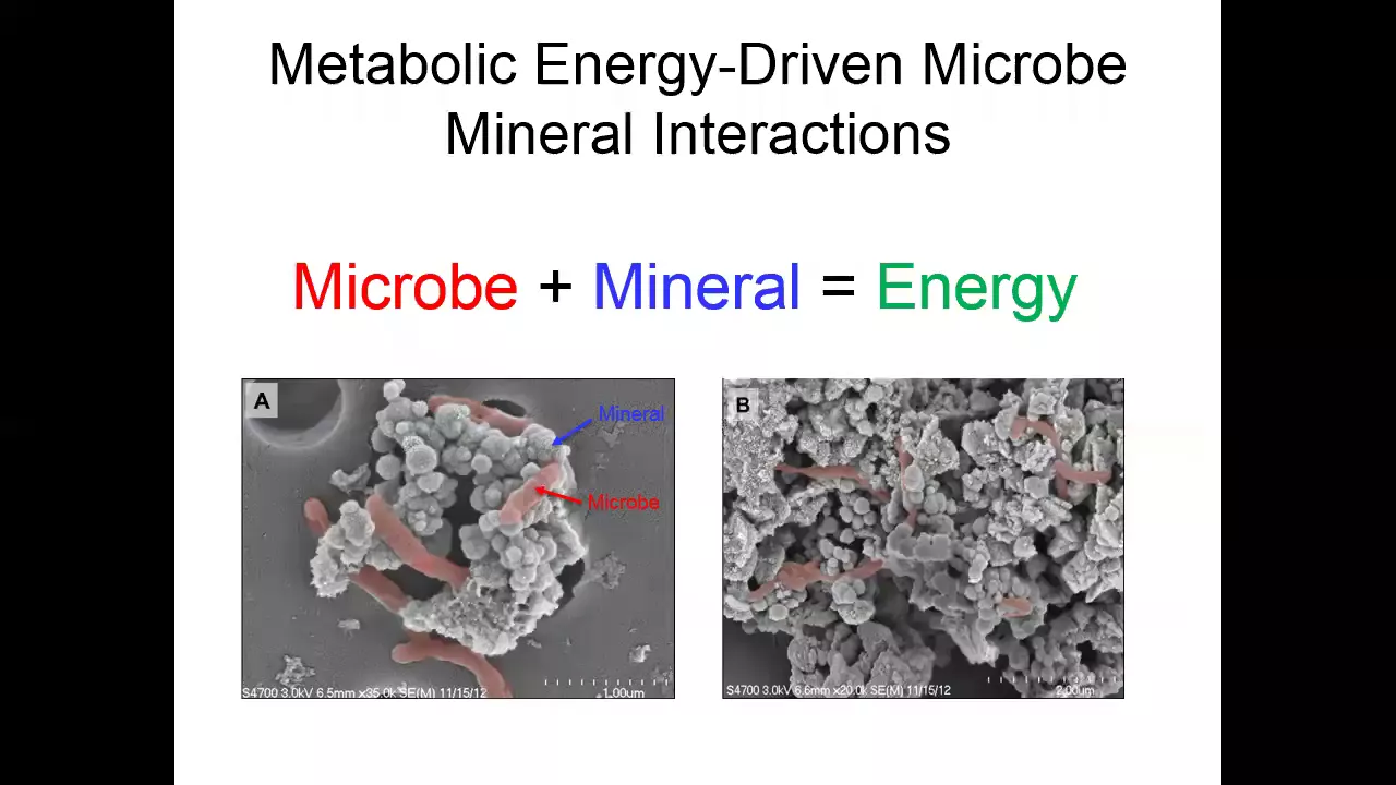 Extracellular electron transfer (EET) in the critical zone: by Eric Roden (August 25, 2017)