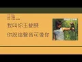 Download Lagu 謝霆鋒 Nicholas Tse - 玉蝴蝶 [歌詞同步/粵拼字幕][Jyutping Lyrics]