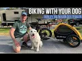 Burley TailWagon Dog Trailer Review Rad Power Bikes EP 56