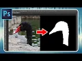 How to Use Masks in Photoshop Beginner s Guide 3 Min