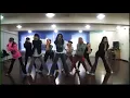 Download Lagu SNSD - I Got a Boy Dance Practice (Mirrored)